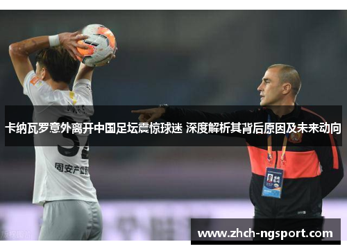 卡纳瓦罗意外离开中国足坛震惊球迷 深度解析其背后原因及未来动向
